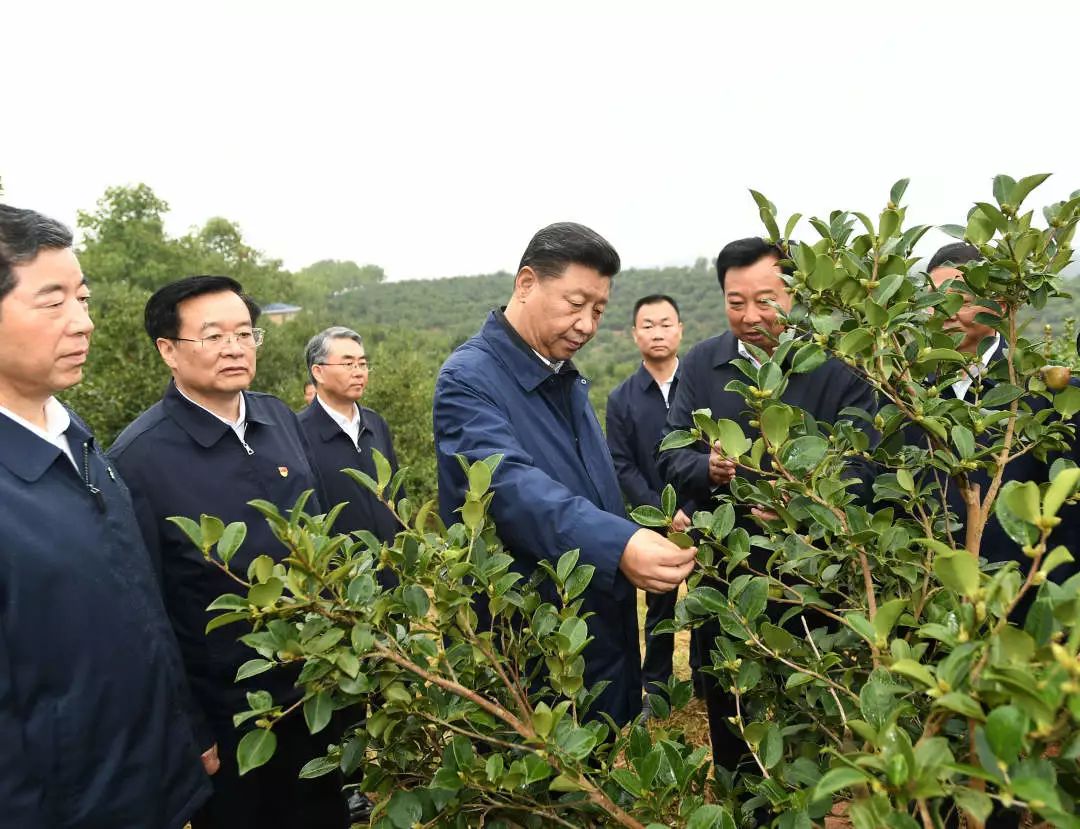 微信圖片_20190919091015.jpg